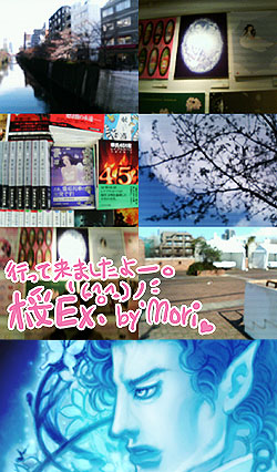 【桜 Exhibition】ちょっと行って来ました by Mori@管理人 (72 KB) 【桜 Exhibition】ちょっと行って来ました by Mori@管理人 (72 KB)